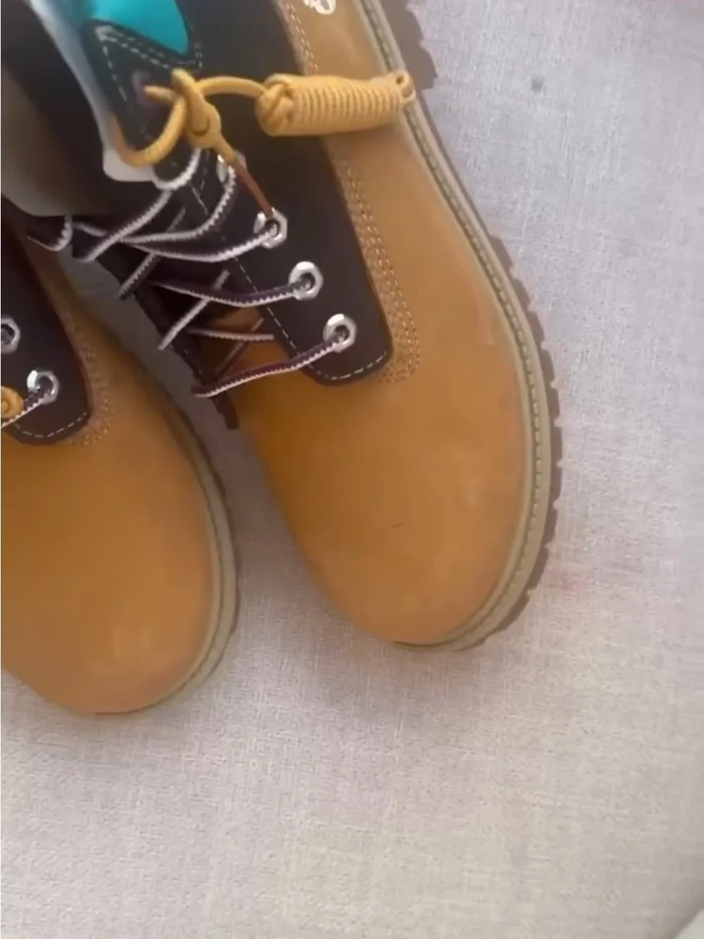 Timberland Wheat Nubuck Boots with Blue Collar